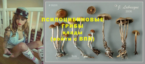 не бодяженный Надым