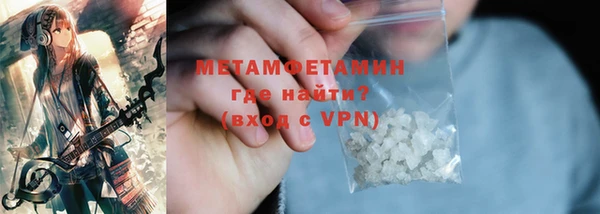 прущие грибы Наволоки