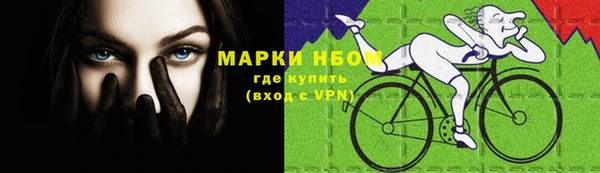 прущие грибы Наволоки