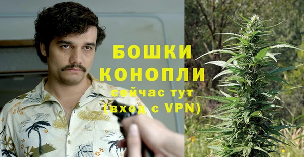 не бодяженный Надым