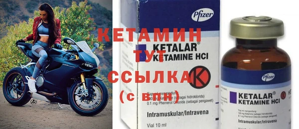 прущие грибы Наволоки