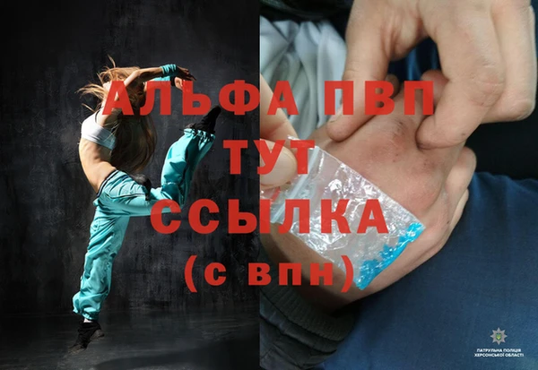 прущие грибы Наволоки
