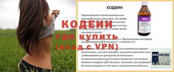 прущие грибы Наволоки